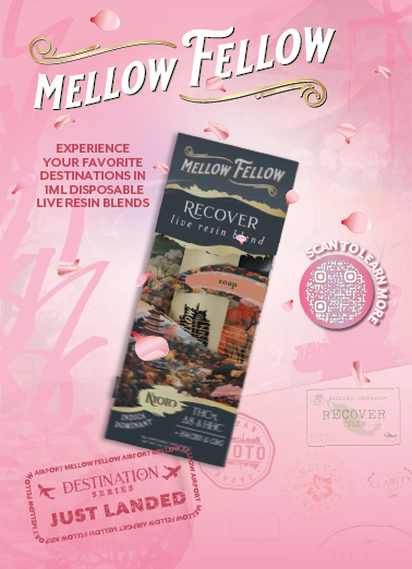 Mellow Fellow Marketing Material Flyer Live Resin Destinations 1ml disposable vape