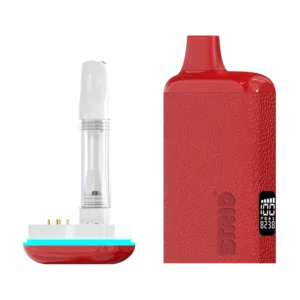 Strio Accessories Cartbox Pro + Screen Amulet Red Leather 10ct