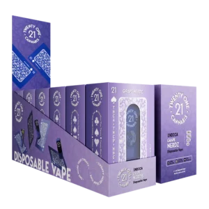 Twenty One Cannabis Disposable Vape 2ml-Grape Nerdz-Display Box-1