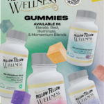 Mellow Fellow Marketing Material Flyer Wellness Gummies