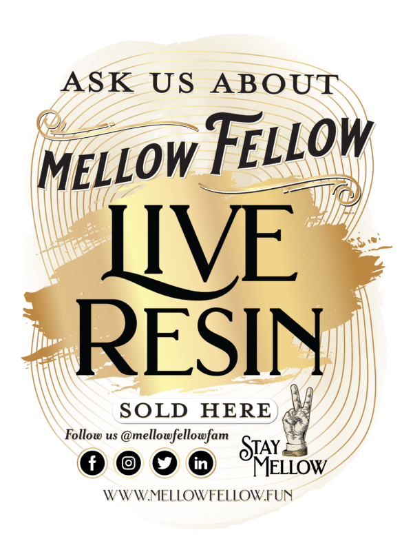 Mellow Fellow Marketing Material Inside Window Decal