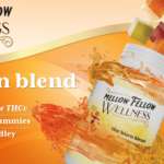 Mellow Fellow Wellness Marketing Material Banner