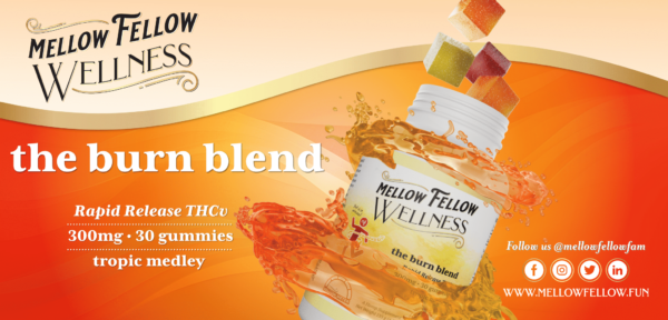 Mellow Fellow Wellness Marketing Material Banner