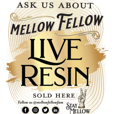 Mellow Fellow Marketing Material Outside Window Decal