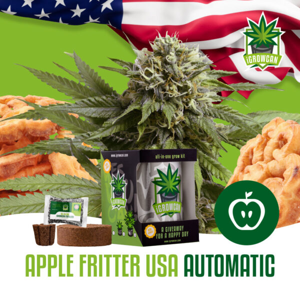 Royal Queen Seeds Growkit .332kg THC Apple Fritter
