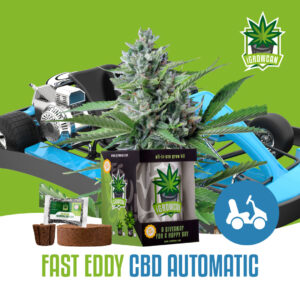 Royal Queen Seeds Growkit .332kg THC Fast Eddy