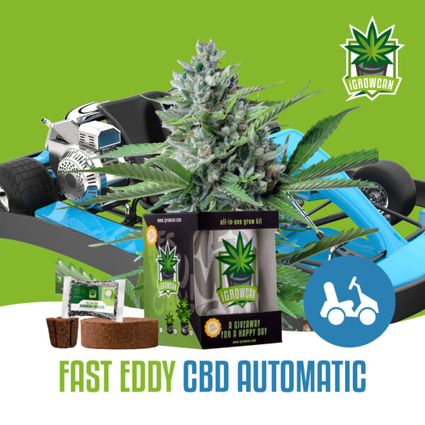 Royal Queen Seeds Growkit .332kg THC Fast Eddy