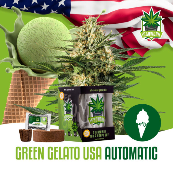 Royal Queen Seeds Growkit .332kg THC Green Gelato