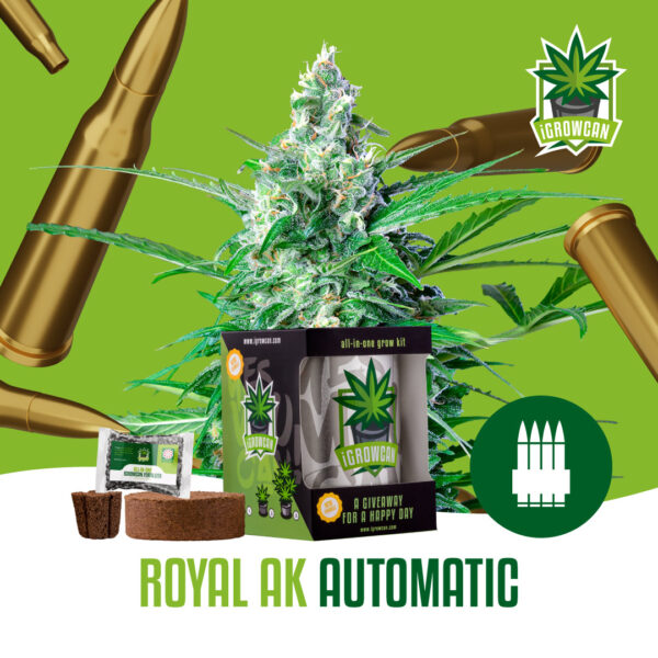 Royal Queen Seeds Growkit .332kg THC Royal AK