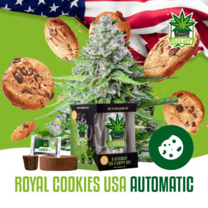Royal Queen Seeds Growkit .332kg THC Royal Cookies