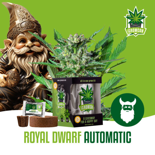 Royal Queen Seeds Growkit .332kg THC Royal Dwarf