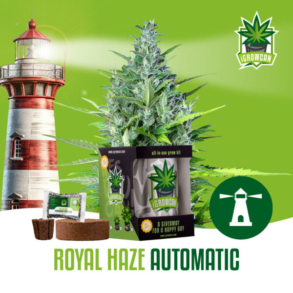 Royal Queen Seeds Growkit .332kg THC Royal Haze
