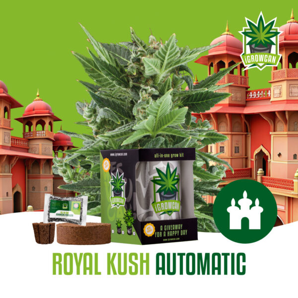 Royal Queen Seeds Growkit .332kg THC Royal Kush