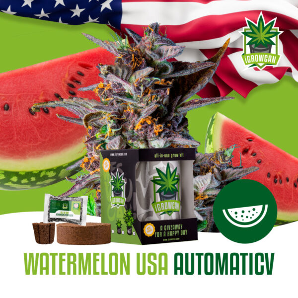 Royal Queen Seeds Growkit .332kg THC Watermelon