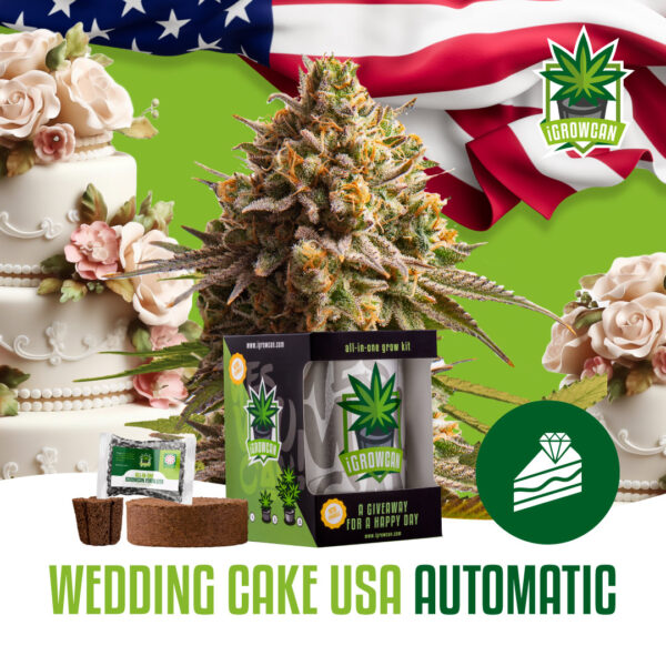 Royal Queen Seeds Growkit .332kg THC Wedding Cake