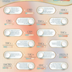Mellow Fellow Marketing Material Poster Alt Cannabinoids 101 Information