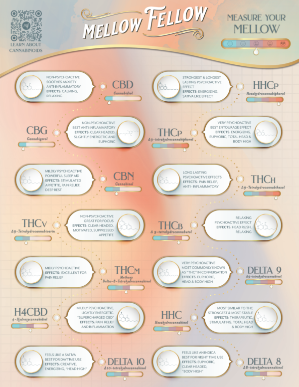 Mellow Fellow Marketing Material Poster Alt Cannabinoids 101 Information