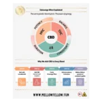 Mellow Fellow Marketing Material Flyers 8″x10″ CBD Entourage Effect