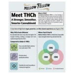 Mellow Fellow Marketing Material Flyers 8″x10″ THCh Infographic